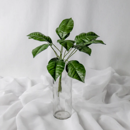 Mini Gardenia Leaf (12 Pack) - Realistic Artificial Flowers and Greenery