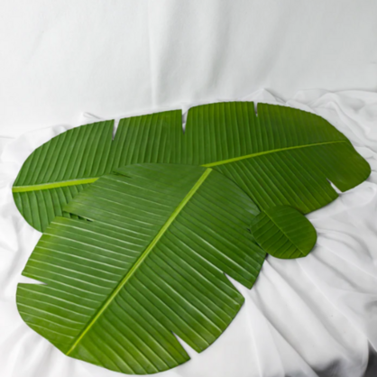 Banana Leaf Placemat (6 Pack) - Realistic Artificial Flowers and Greenery