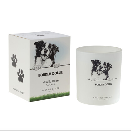 PET CANDLE - Border Collie