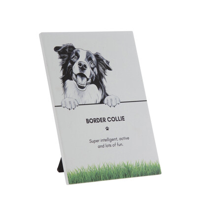 PET PLAQUE - Border Collie