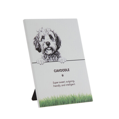 PET PLAQUE - Cavoodle