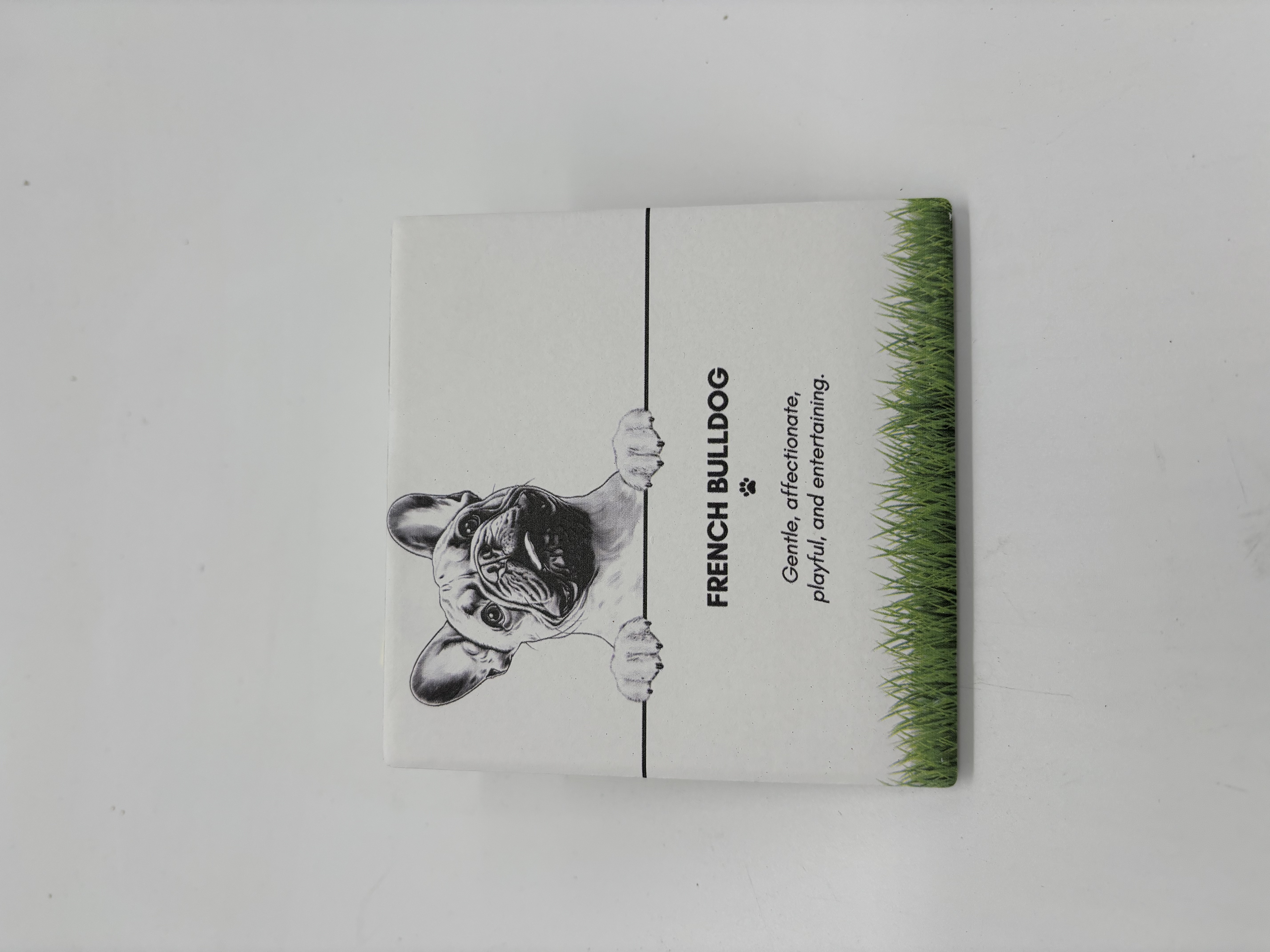 PET COASTER - French Bulldog