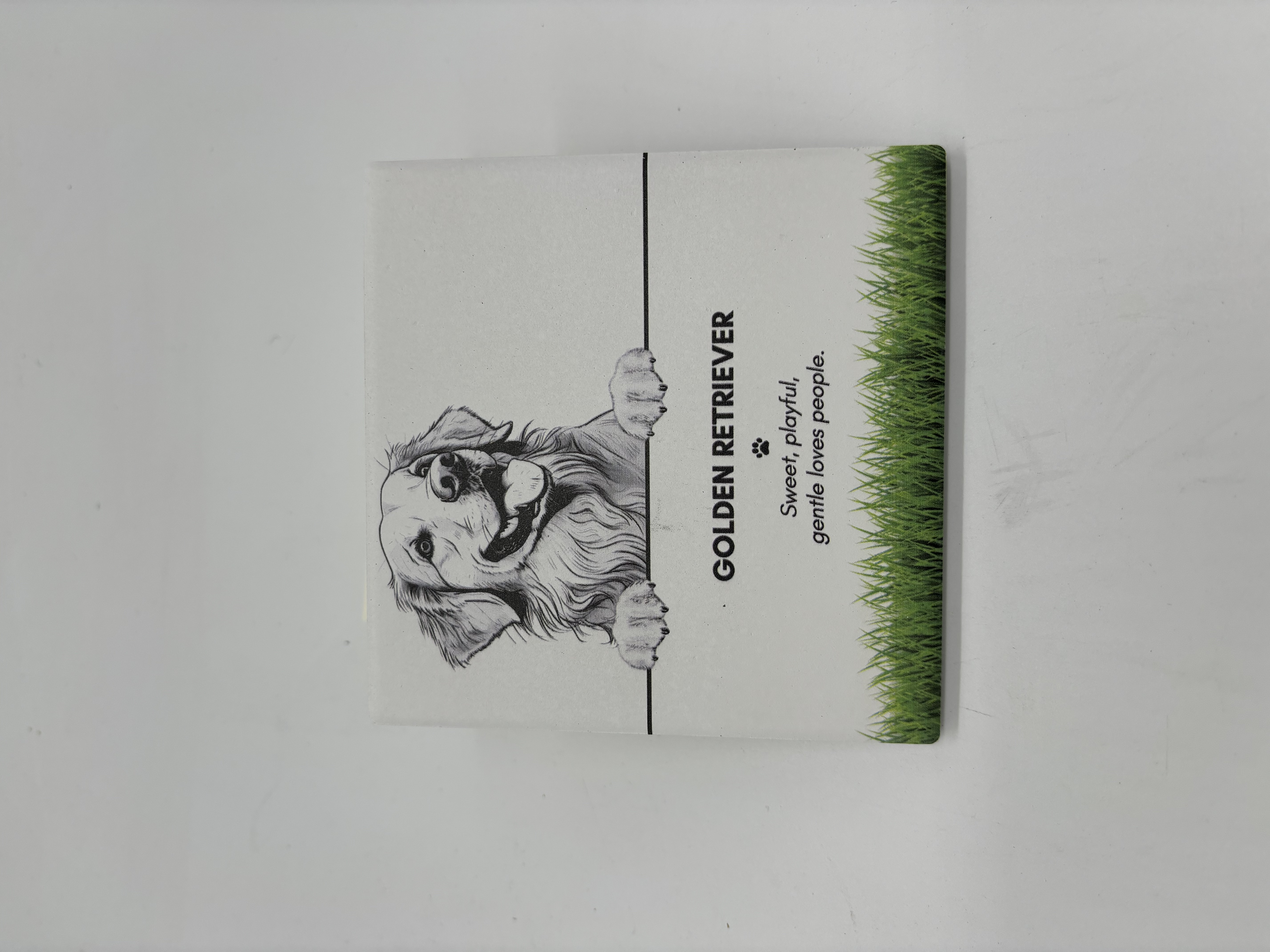 PET COASTER - Golden Retriever