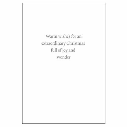 Nocturnal Animals Christmas Card CC15