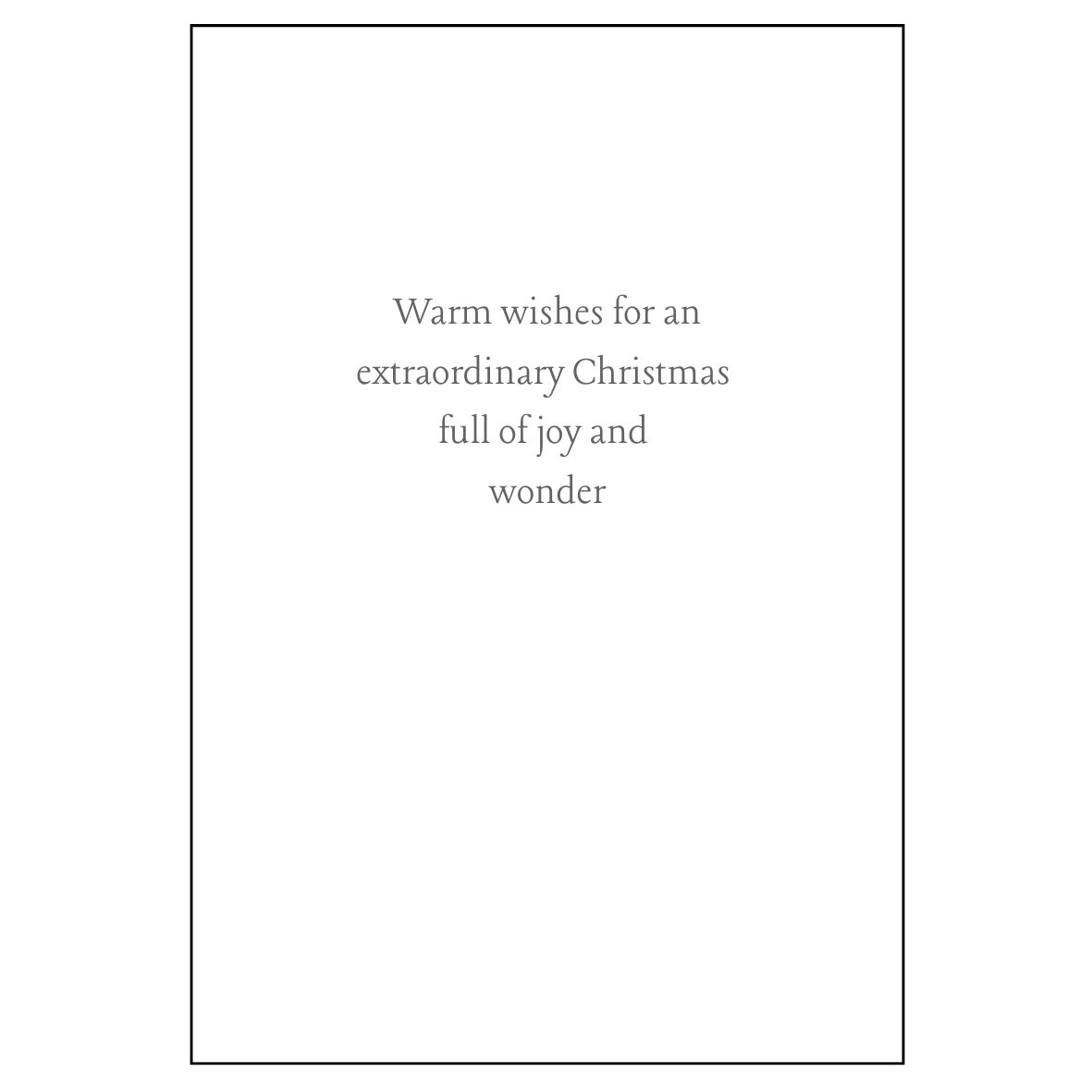 Nocturnal Animals Christmas Card CC15
