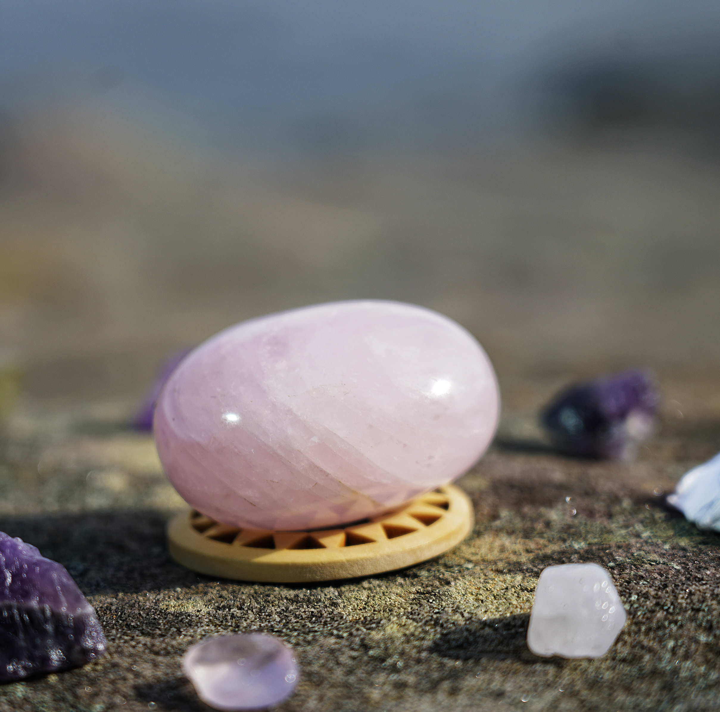 Rose Quartz Palm Stone - Natural Healing Crystal for Love