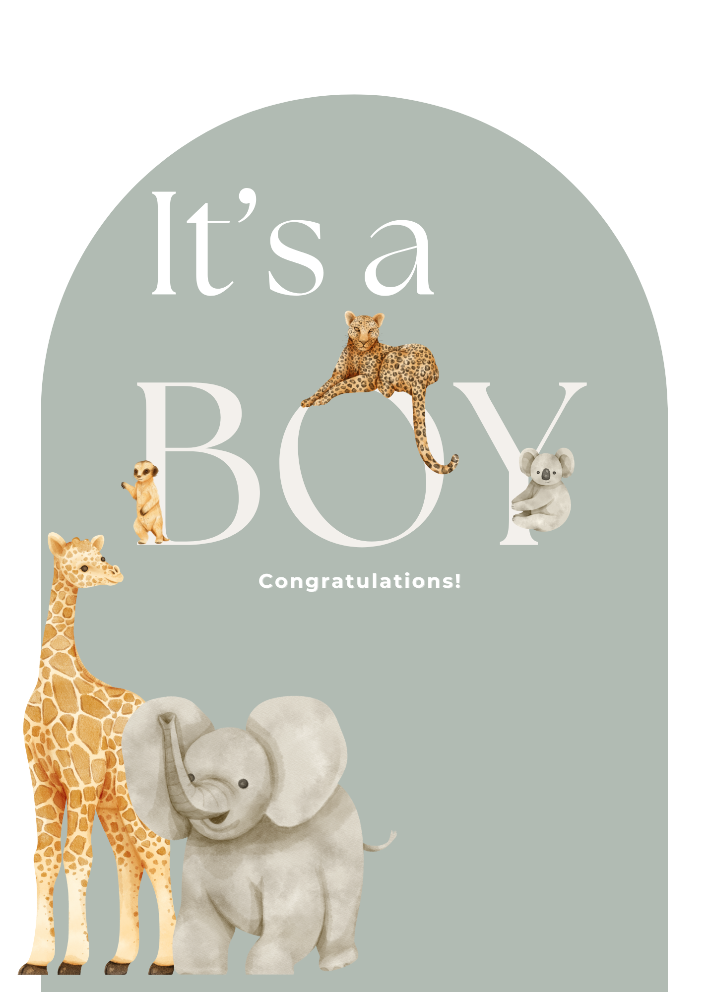 Zoo- Its a Boy Card