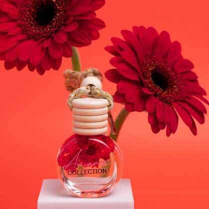 Car Diffuser SAMPLES ONLY - 8ml