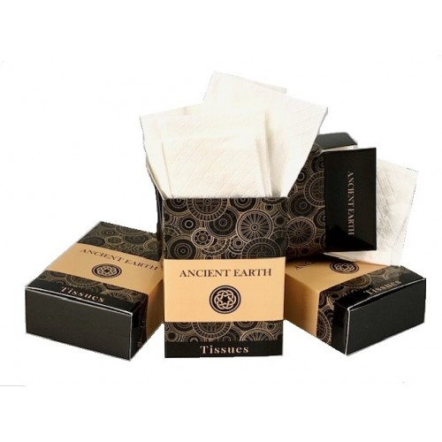 Ancient Earth Pocket Tissues x 100 boxes