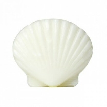 Large Shell Soap 30gm x 100