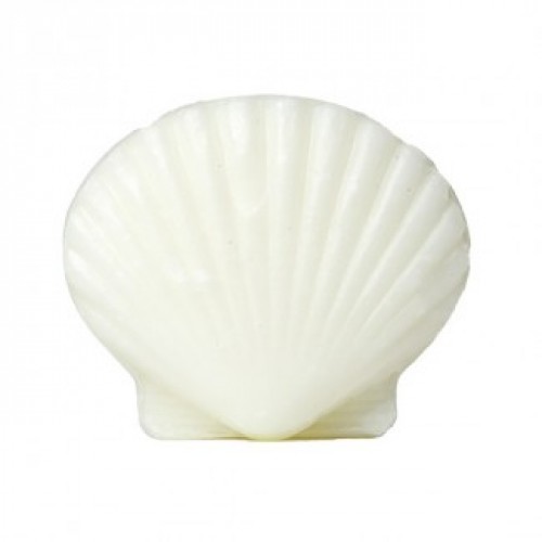 Large Shell Soap 30gm x 100