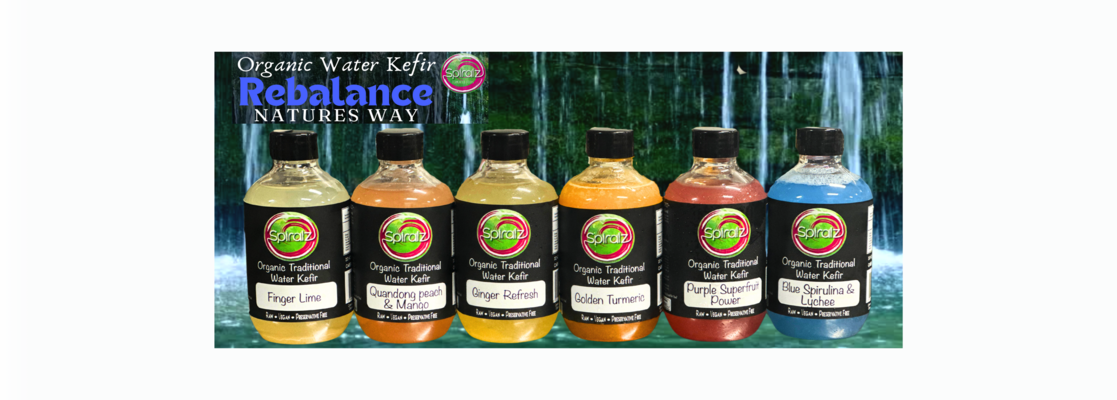 Wholesale Spiralz Fermented Foods