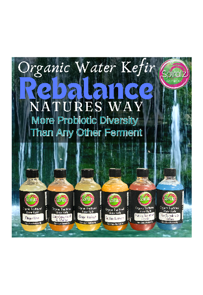 Spiralz Fermented Foods - Organic Water Kefir