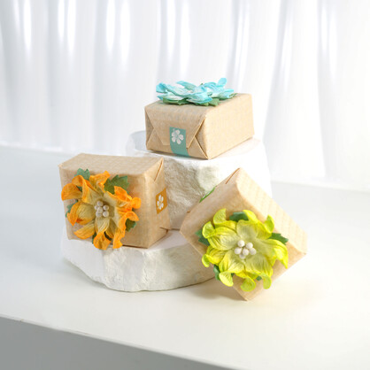 Island By Panikeke Tropical Oasis Spa Soap - 50g