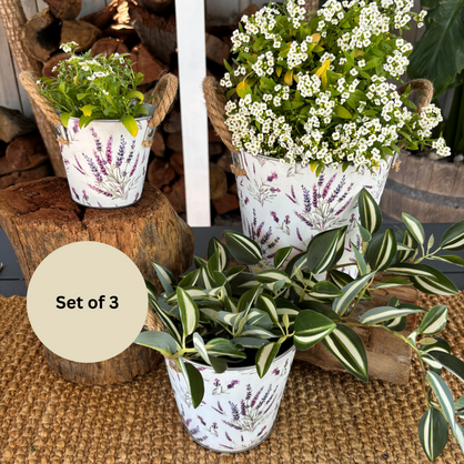 Set of 3 Zinc Pots with Lavender Design