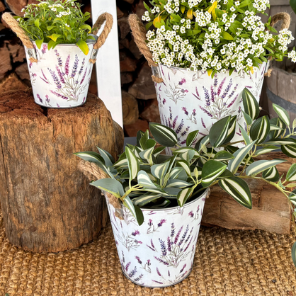 Set of 3 Zinc Pots with Lavender Design