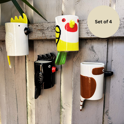 Assorted Aussie Bird Wall Hanging Planters