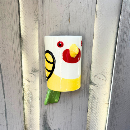 Assorted Aussie Bird Wall Hanging Planters