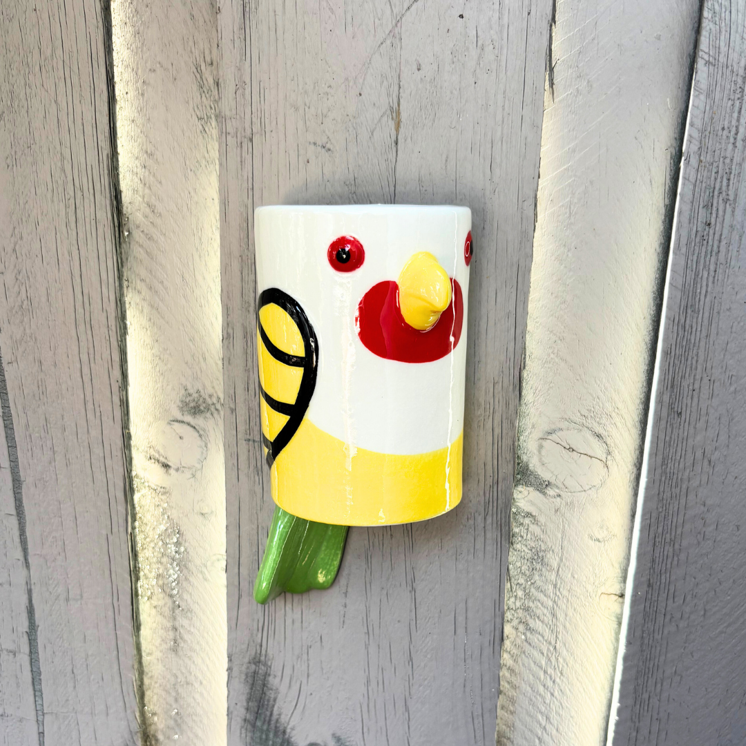 Assorted Aussie Bird Wall Hanging Planters