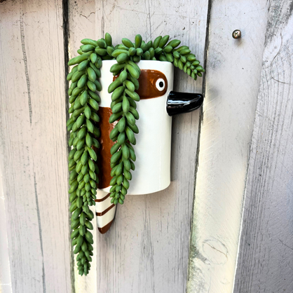 Assorted Aussie Bird Wall Hanging Planters