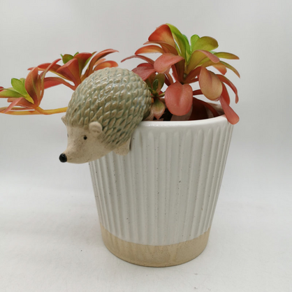 Hedgehog Pot Sitter