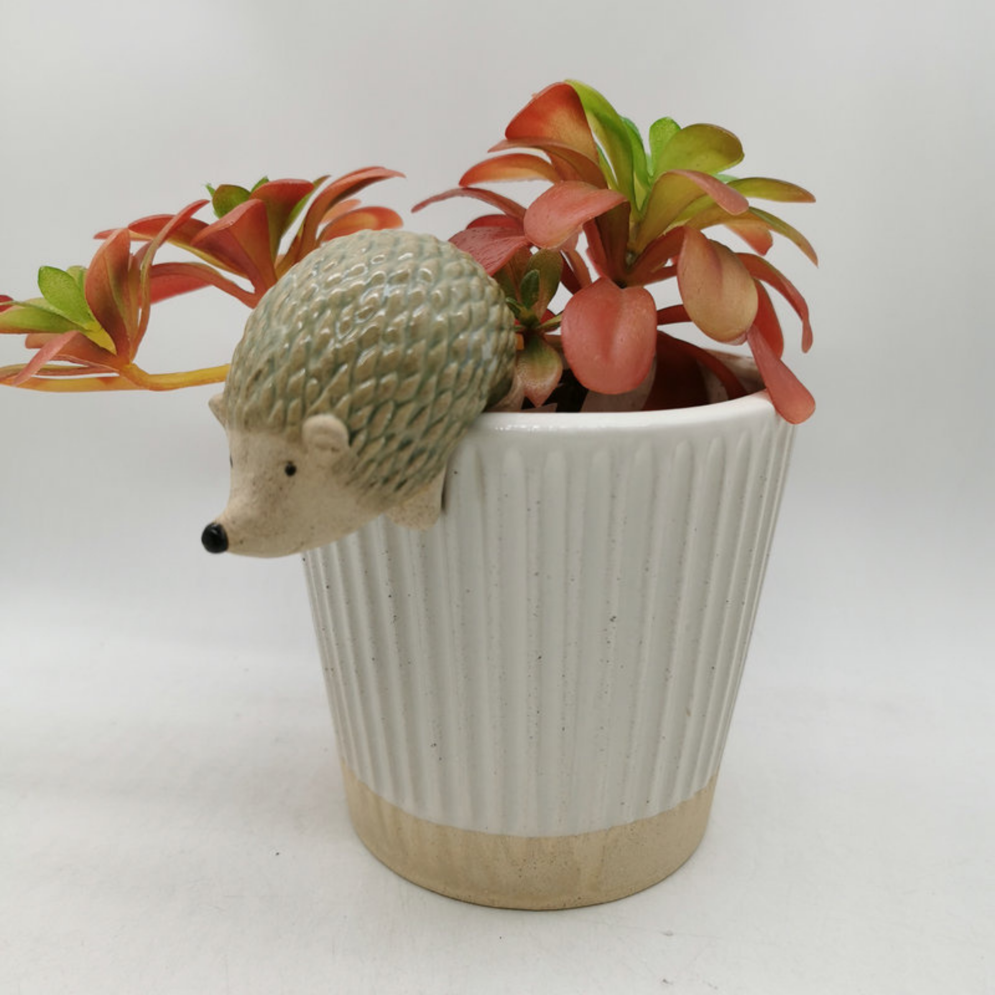 Hedgehog Pot Sitter