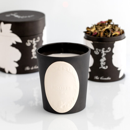 FRENCH CANDLE LADURÉE PARIS CAMELIA