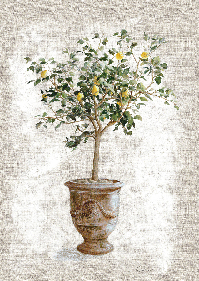 Wall Covering - Citronnier