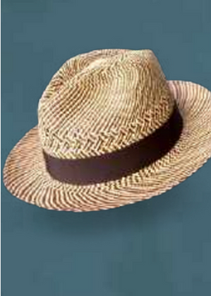 Clasic Paja Toquilla Hat with brown end
