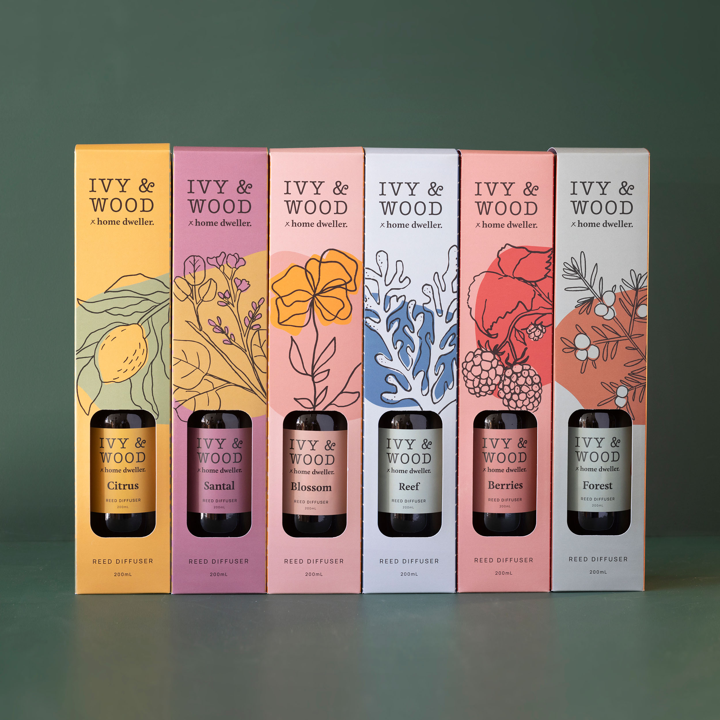 Homebody: Blossom Reed Diffuser