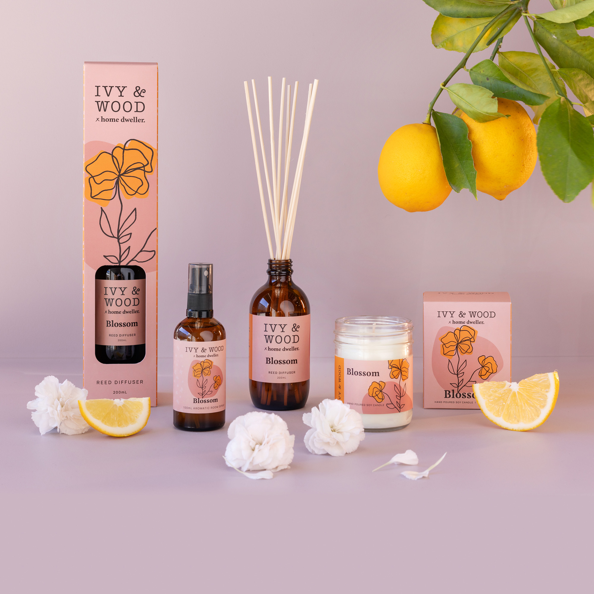 Homebody: Blossom Scented Candle