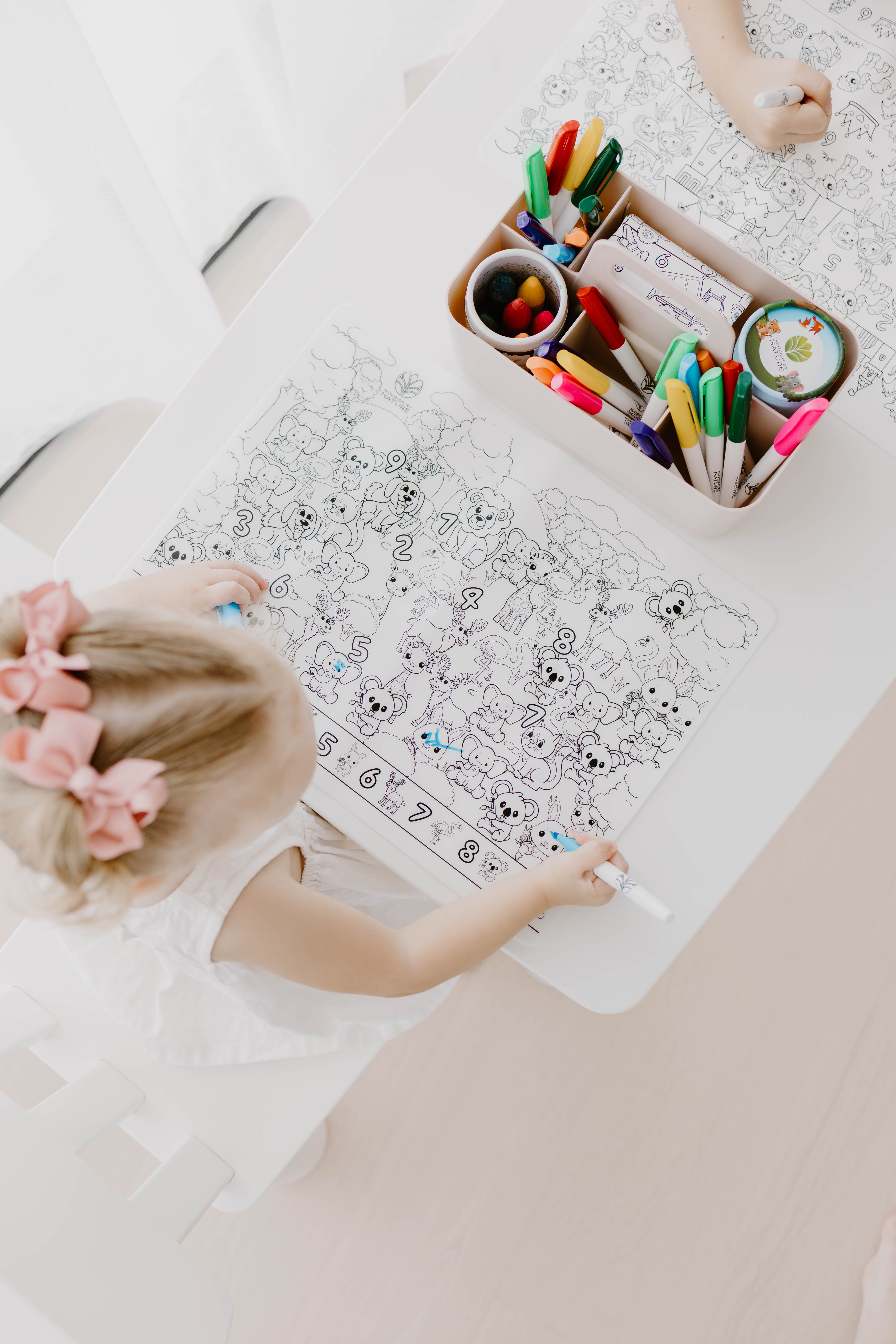 Seek N Spot Silicone Colouring Mat Animals