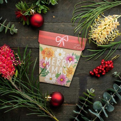 Xmas Blooms Gift of Seeds