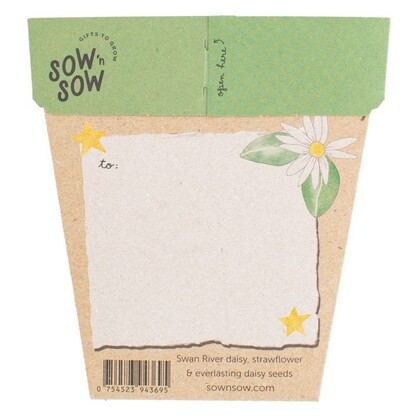 Christmas Native Daisies Gift of Seeds