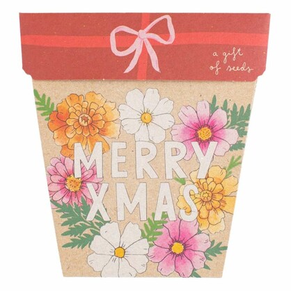 Christmas Gift of Seeds Starter Pack