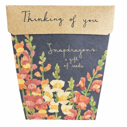 Thinking of You Gift of Seeds