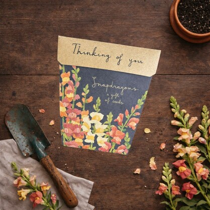 Thinking of You Gift of Seeds