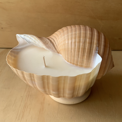 Seashell Soy Wax Candle / Tonna