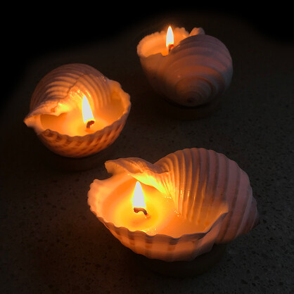 Seashell Soy Wax Candle / Tonna