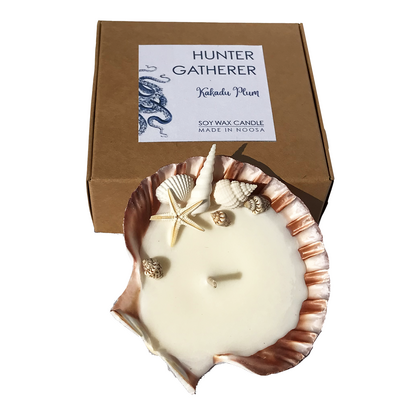 Shell Candle Scented Soy Wax | Scallop