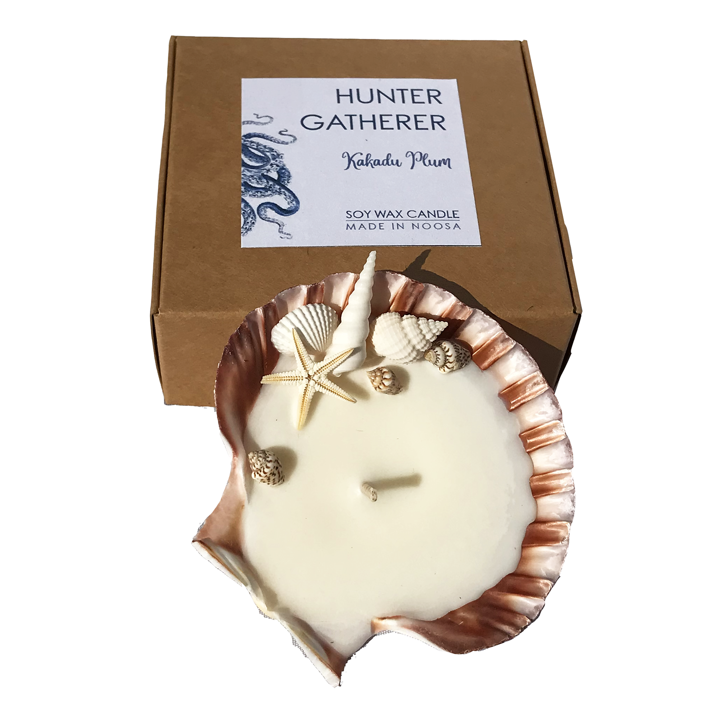 Shell Candle Scented Soy Wax | Scallop