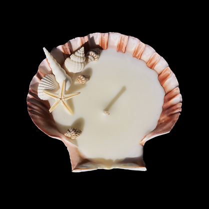 Shell Candle Scented Soy Wax | Scallop