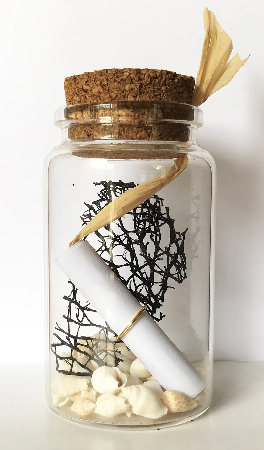 Message in a Bottle / Coral / CARTON SIZE 10