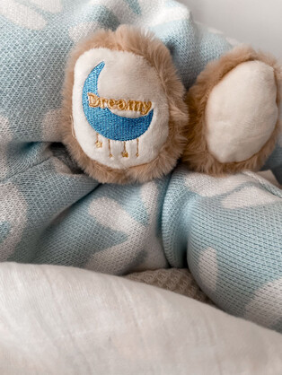 Dreamy, the Sleep Aid Teddy Bear