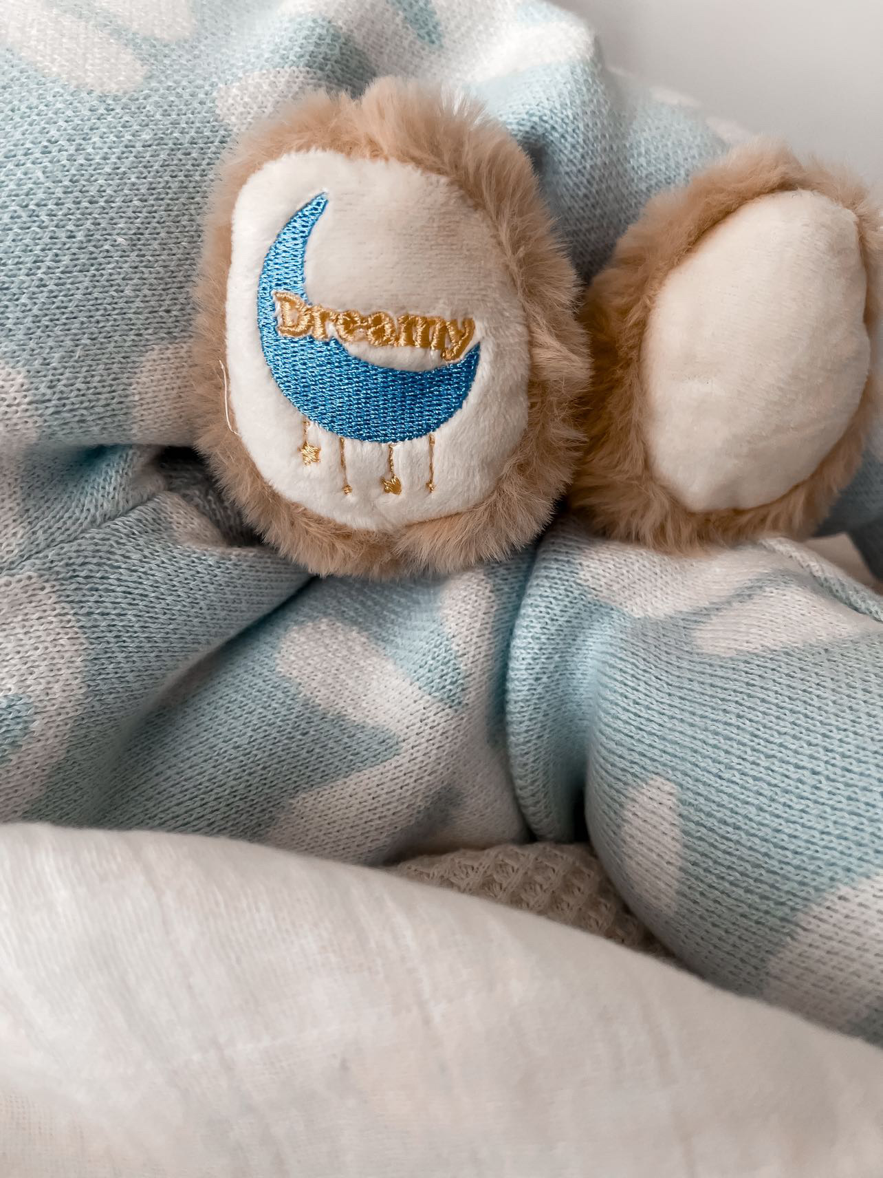 Dreamy, the Sleep Aid Teddy Bear