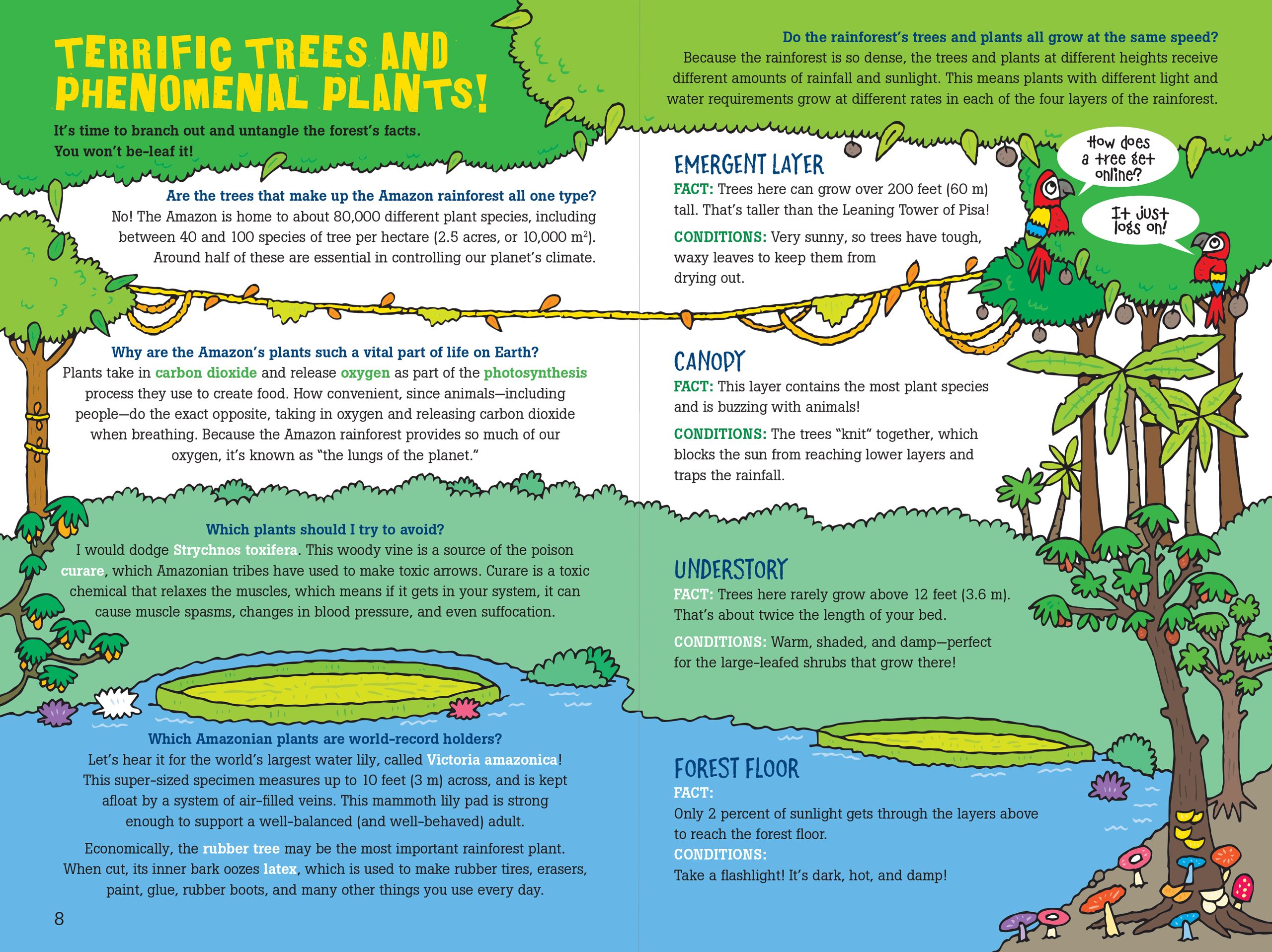 100 Questions about the Amazon Rainforest