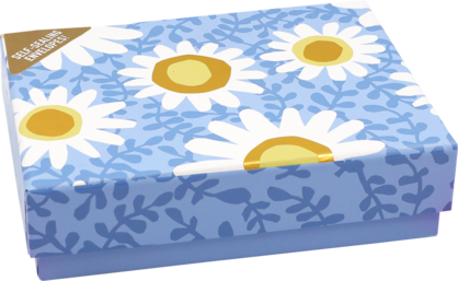 Daisies Note Cards
