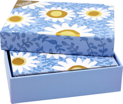 Daisies Note Cards