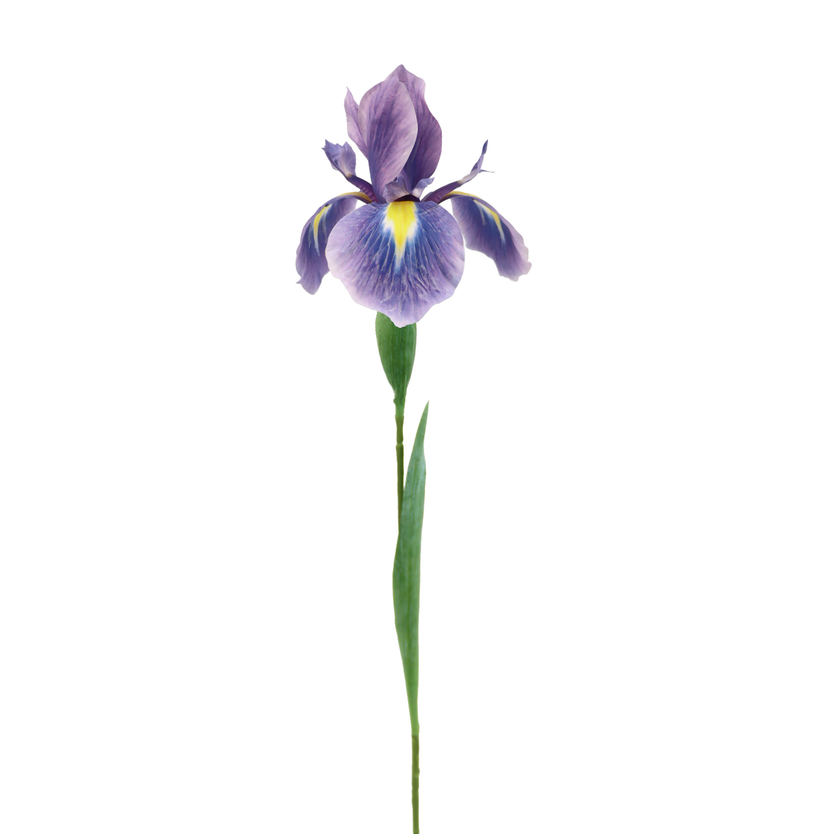 Artificial Real Touch Single Iris 79CM