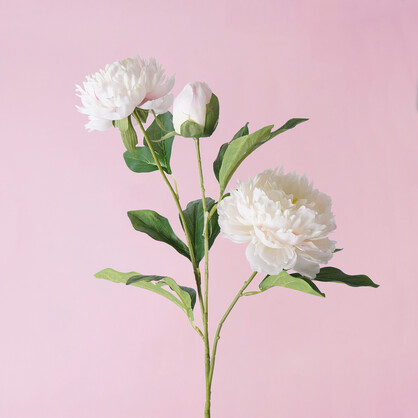 Artificial Peony Spray 3H 65CM